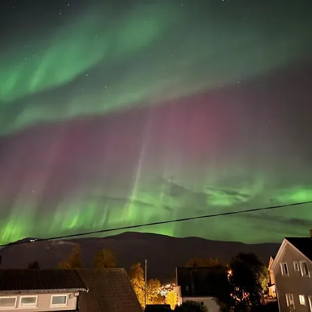 Apartment Flat, 15 Min Walk To Center *