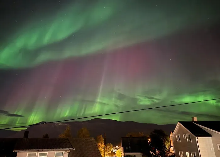 Апартаменты Flat, 15 Min Walk To Center *